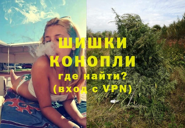ПСИЛОЦИБИНОВЫЕ ГРИБЫ Арсеньев