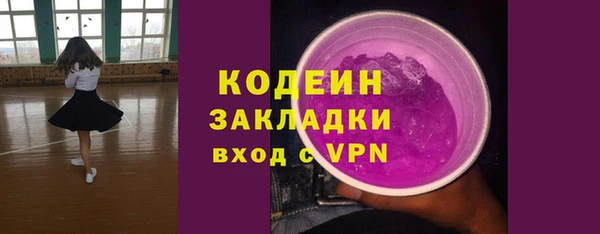 ПСИЛОЦИБИНОВЫЕ ГРИБЫ Арсеньев