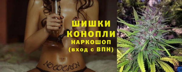 винт Аркадак