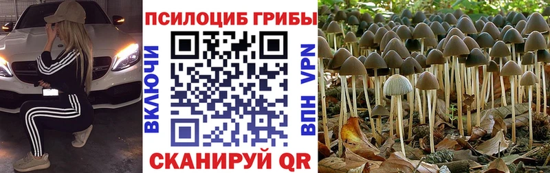 Галлюциногенные грибы ЛСД  Ликино-Дулёво 